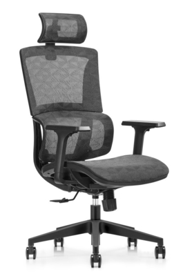 Unrivaled Support and Comfort Ergonomic Mesh Office Chair for Perfect Alignment