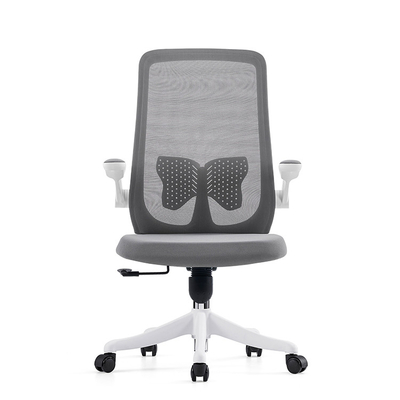 Gray Mesh Fabric With Back Support Office Chair For Office Room