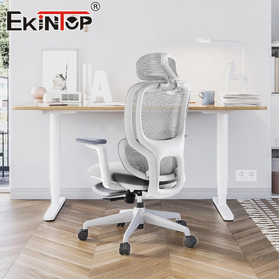 Modern Furniture Comfortable Armrest Adjustable Lumbar Support Full Mesh Office Chair